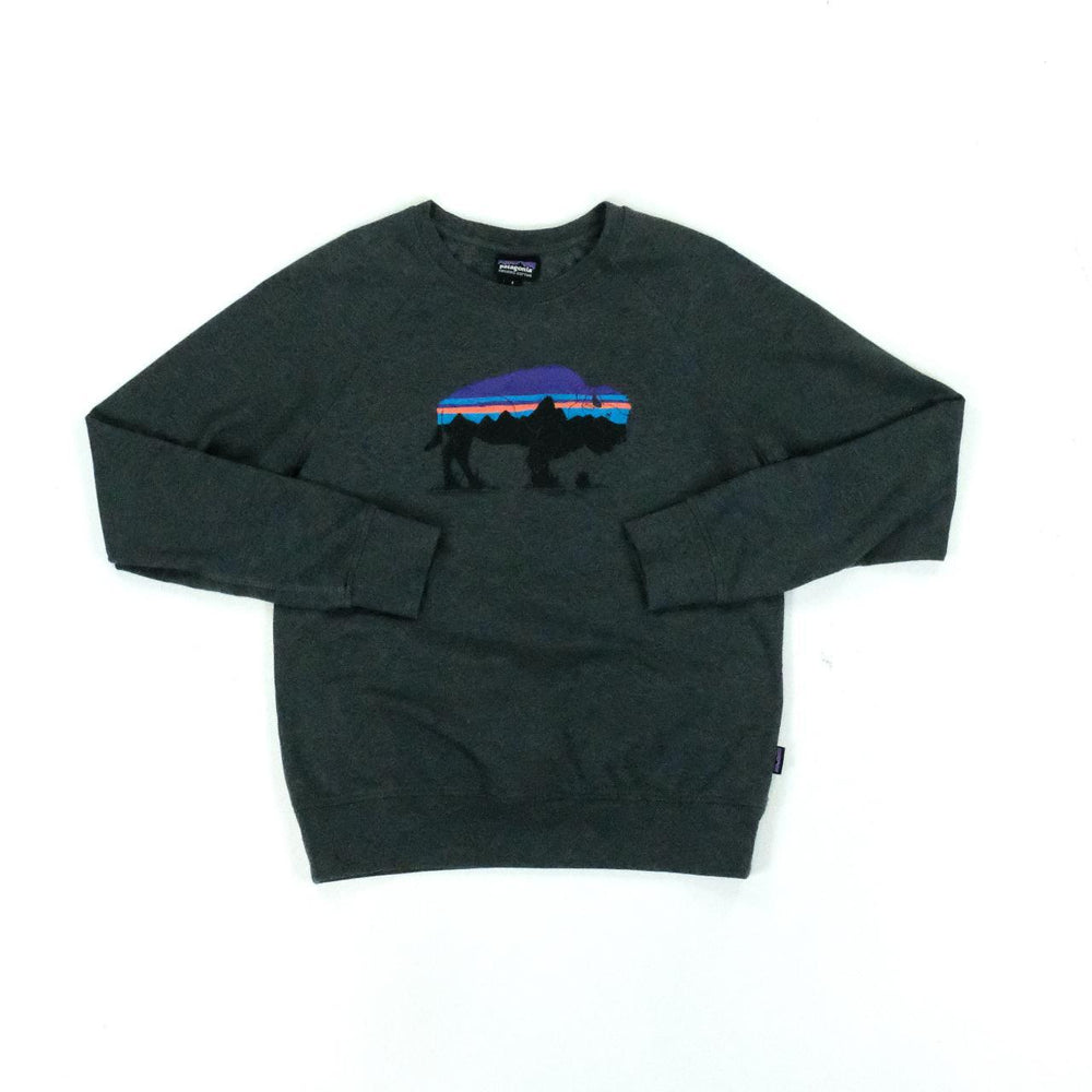 Patagonia Sweatshirt