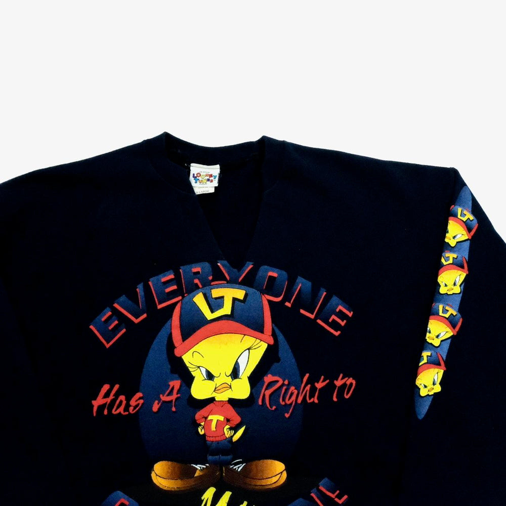 Looney Tunes Jumper