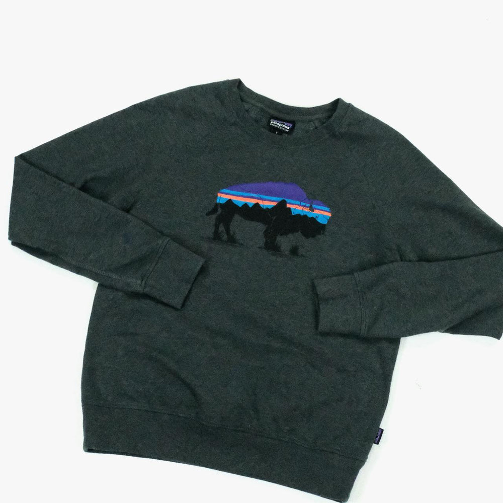 Patagonia Sweatshirt