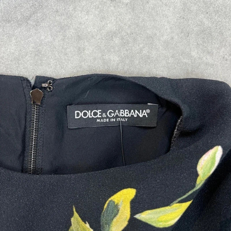 Dolce & Gabbana Dress