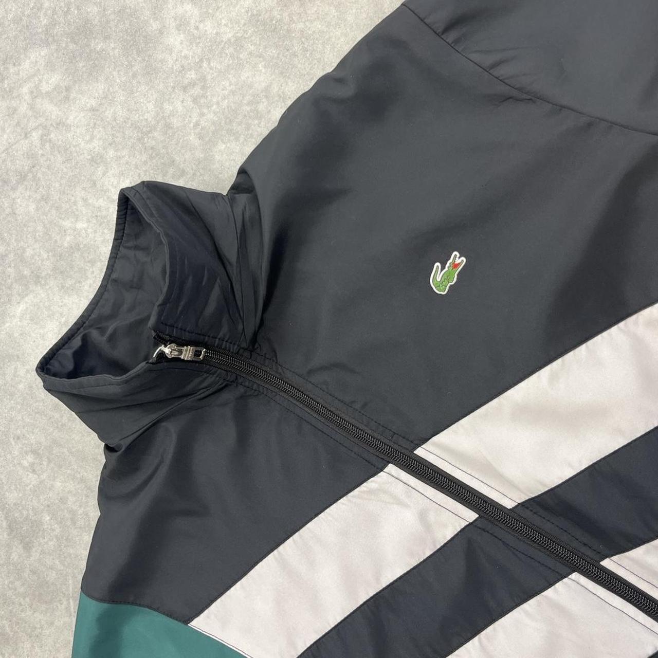 Lacoste bomber jacket
