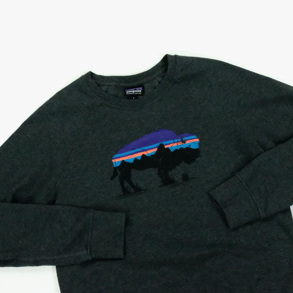 Patagonia Sweatshirt